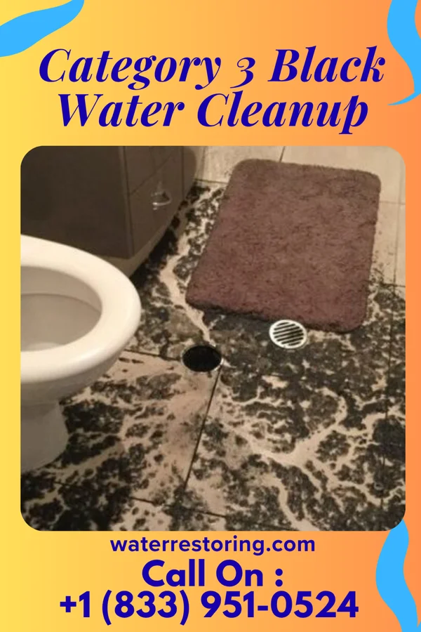 Category 3 Black Water Cleanup in Rowesville, SC