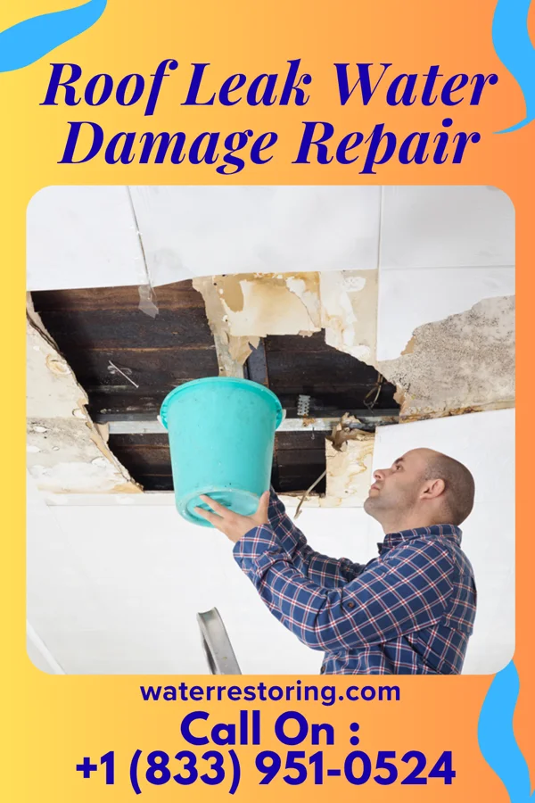 Roof Leak Water Damage Repair in Rowesville, SC